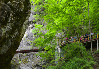 陕西羚牛谷山水游憩区