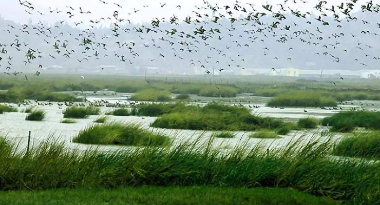 《福建省湿地自然保护区游憩资源