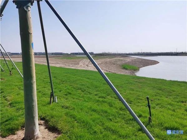 东营·东三路体验式湿地 市民游憩好去处(图5) 东营·东三路体验式湿地 市民游憩好去处(图5)